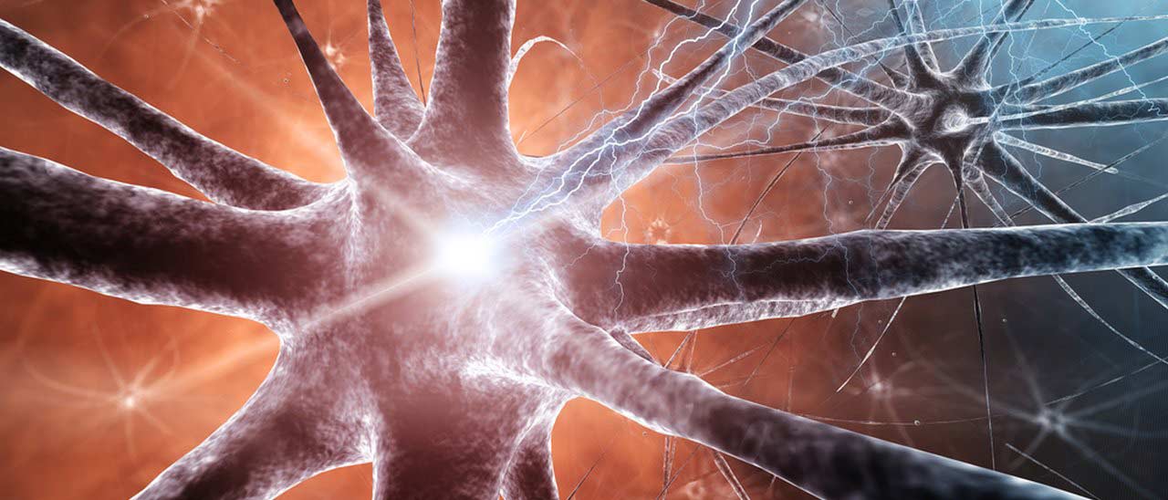 Reti neurali per gli antivirus del futuro