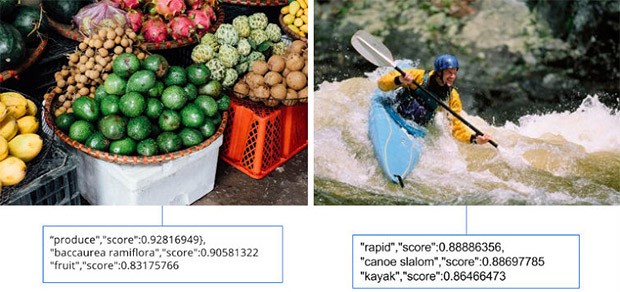 Un esempio degli elementi identificati in un'immagine dalla tecnologia