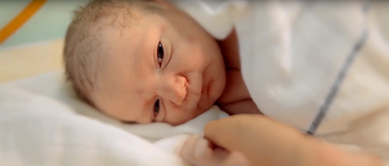 Google-Alphabet: Life Sciences diventa Verily