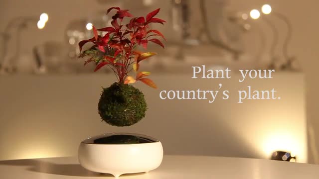 Air Bonsai: la campagna su Kickstarter