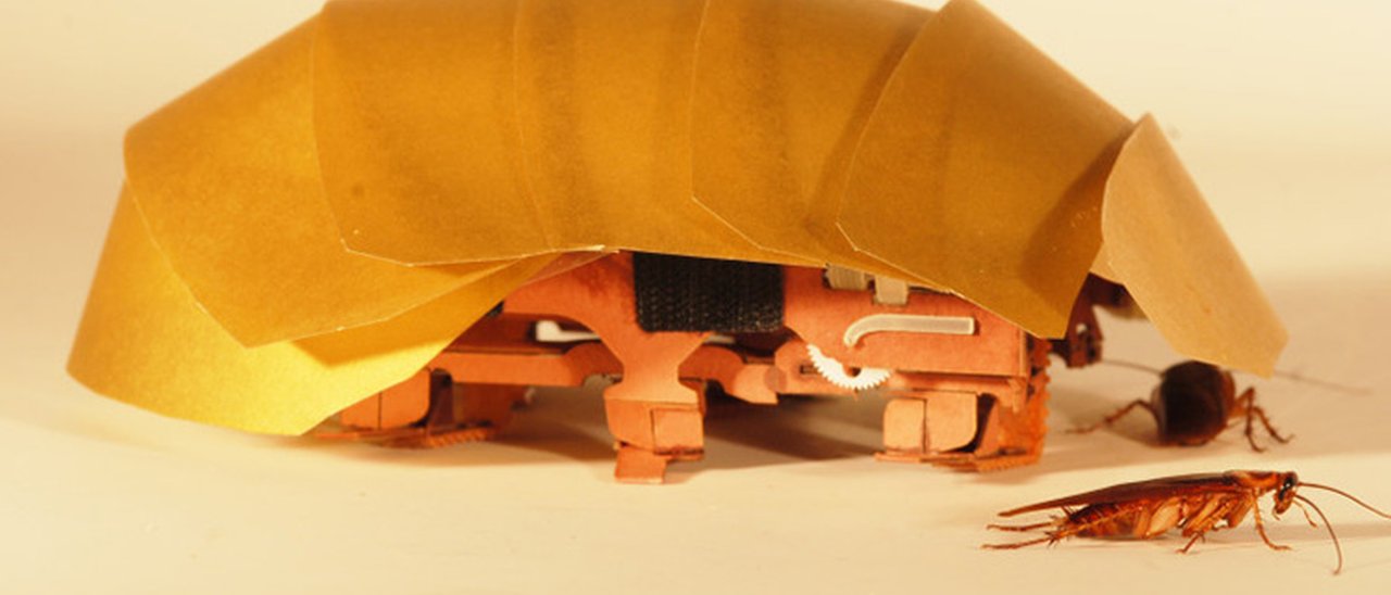 CRAM, scarafaggio robot per ricerca e soccorso