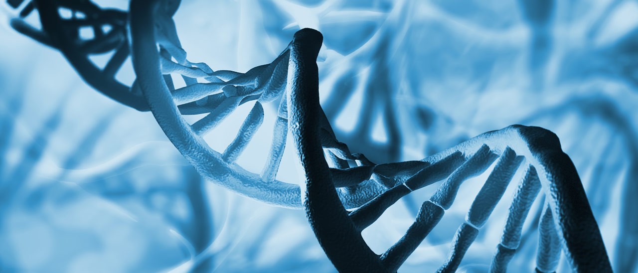 Editing genetico sugli embrioni umani, test in UK