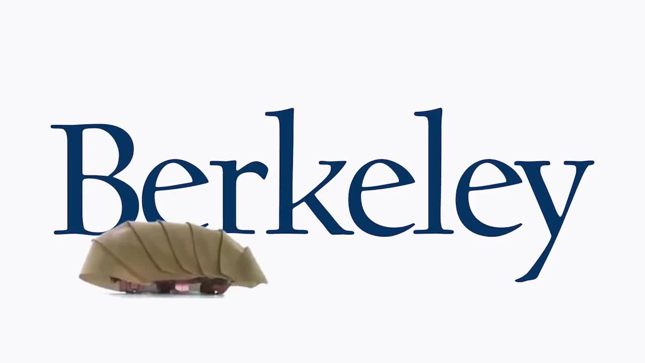 Il robot ispirato agli scarafaggi: CRAM