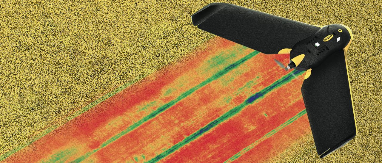 Droni, Parrot Sequoia rivoluziona l'agricoltura