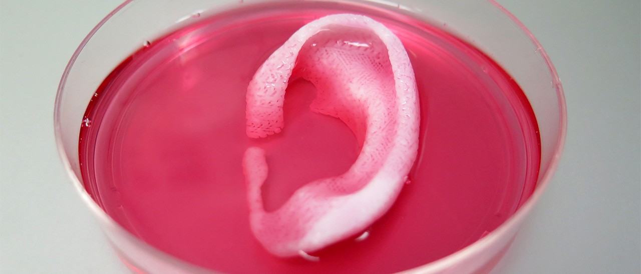 Organi e tessuti umani stampati in 3D