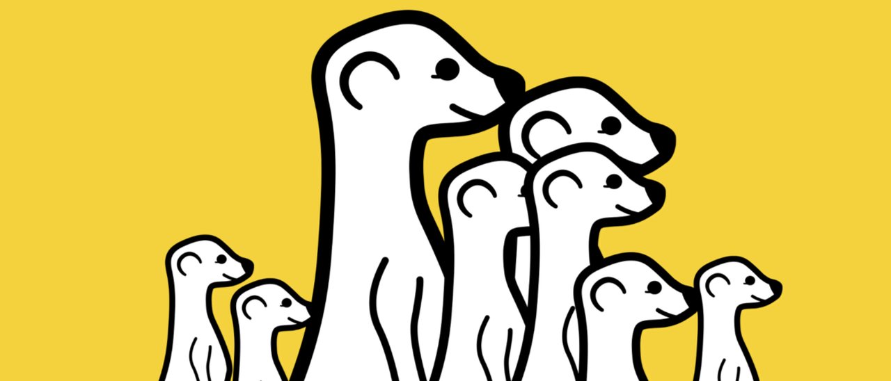 Meerkat abbandona il live streaming