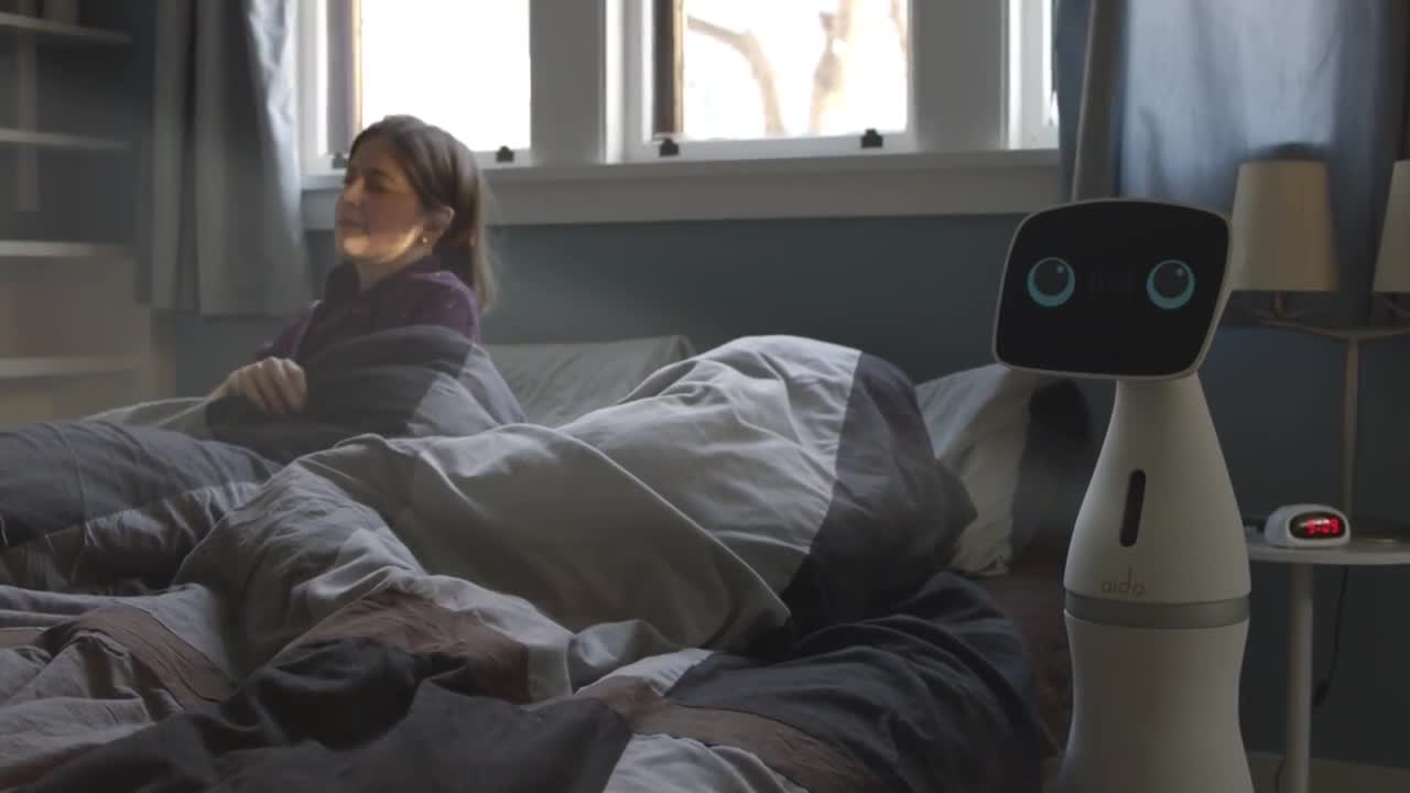 Il robot Aido, un assistente per la casa
