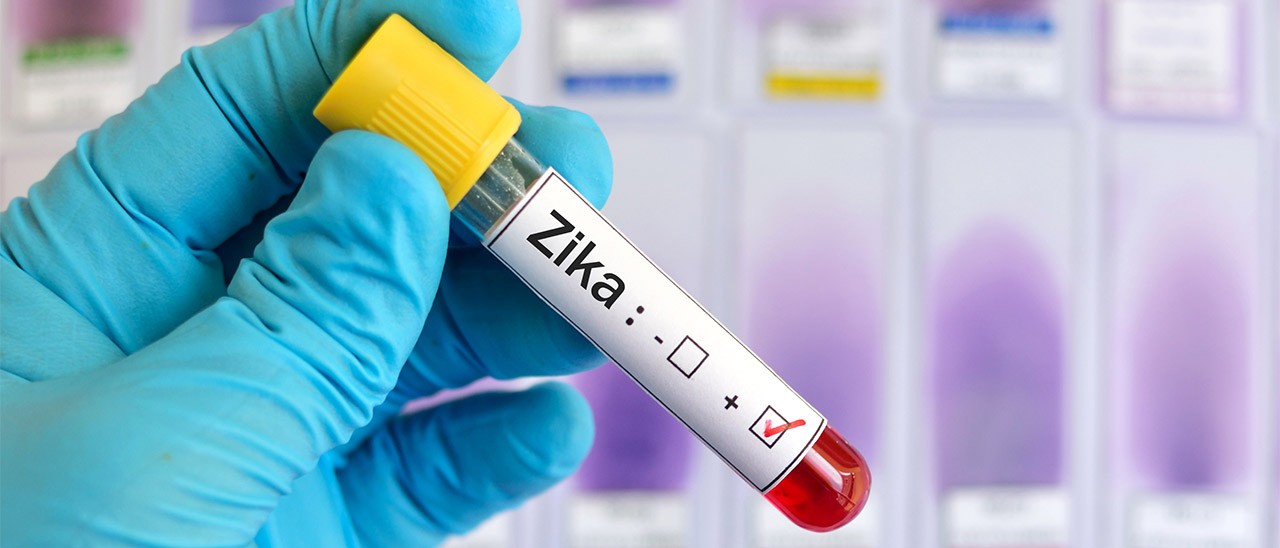 Google e la lotta al virus Zika