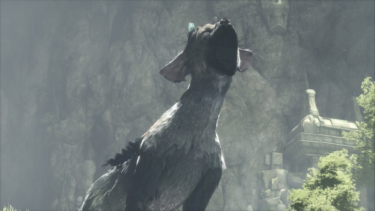 The Last Guardian: nuove immagini pre-E3 2016