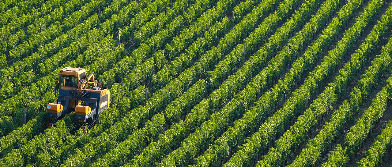 BQ Gaia: l'innovazione applicata all'agricoltura