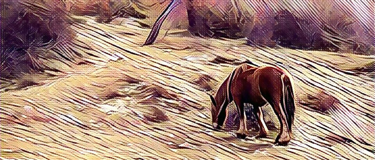 Prisma: un'anteprima sulle prossime novità