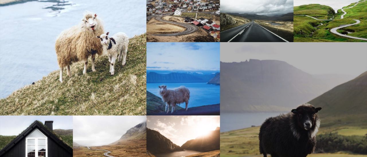 Sheep View 360, Street View visto dalle pecore