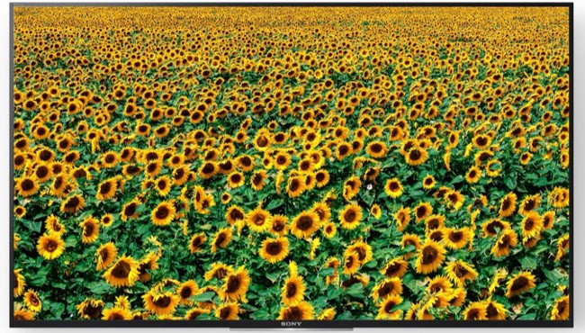 Sony BRAVIA XD83