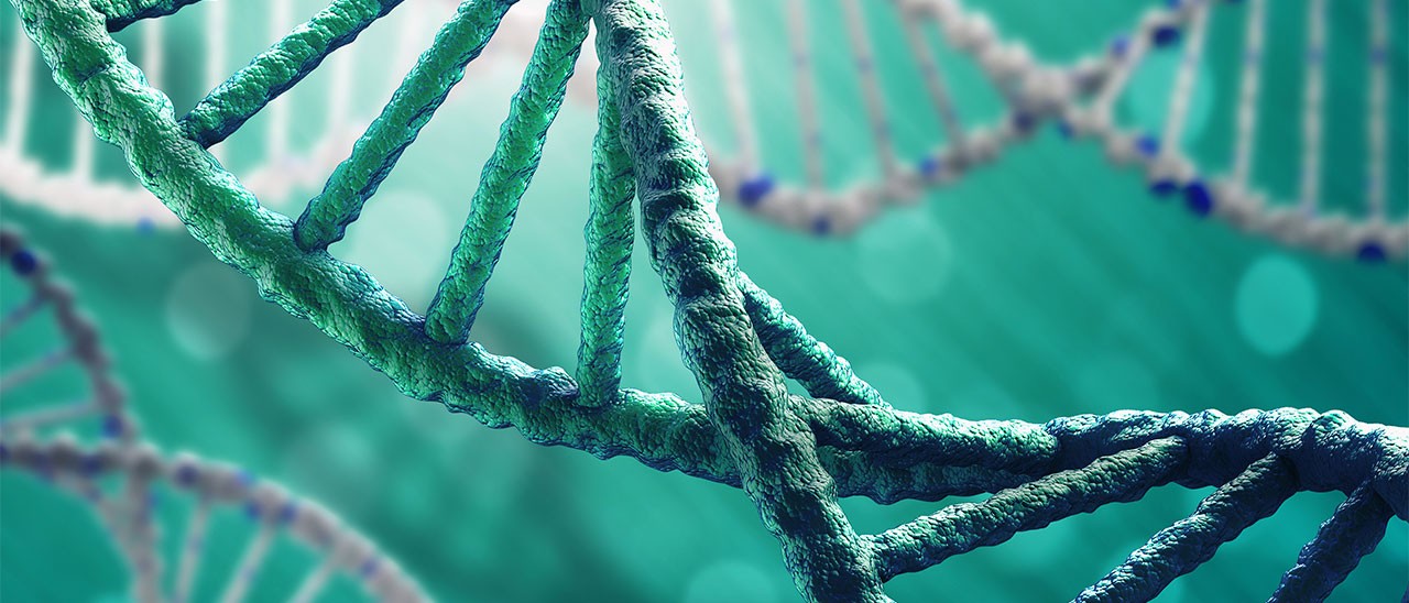 DNA e cloud: Google e il Clinical Genomics Service