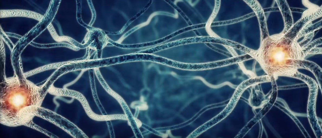 Verily e GSK insieme per la bioelettronica