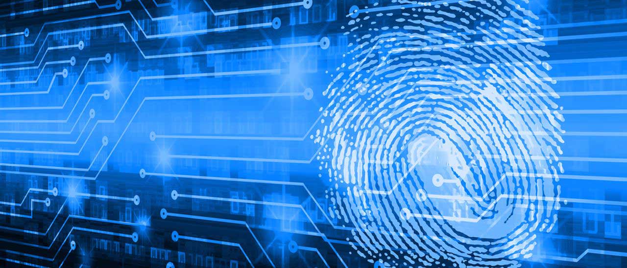 Lenovo, Intel e PayPal, guerra alle password