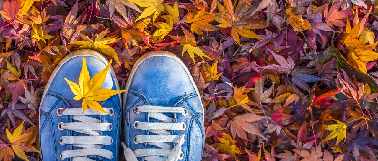 Oggi arriva l'autunno: il benvenuto di Google