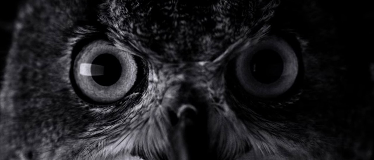 iPhone 7: arriva il primo spot televisivo