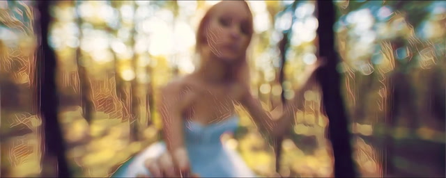 Prisma - Supporto ai Video
