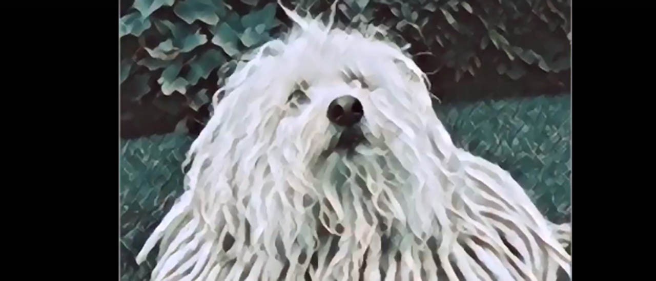 Zuckerberg mostra un video AI in stile Prisma