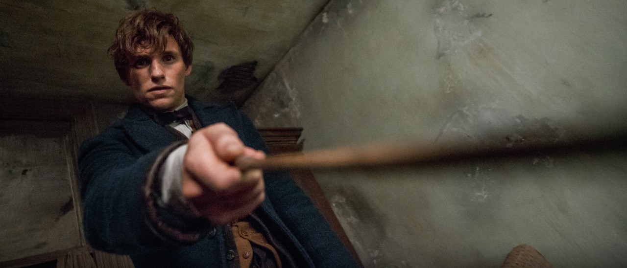 Google, gli animali fantastici e dove trovarli