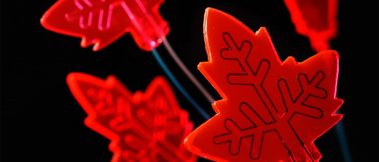 La foglia artificiale che produce medicinali