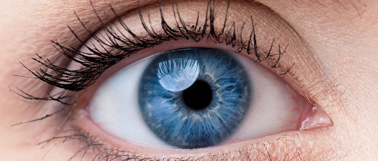 Nikon e Verily contro la retinopatia diabetica