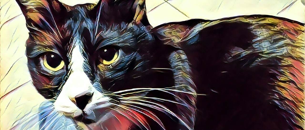 Prisma è la migliore applicazione Android del 2016