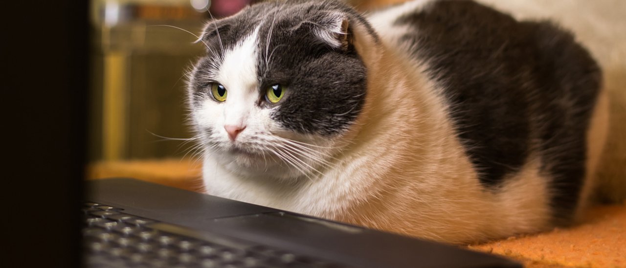 Mercato PC, una crisi lunga cinque anni