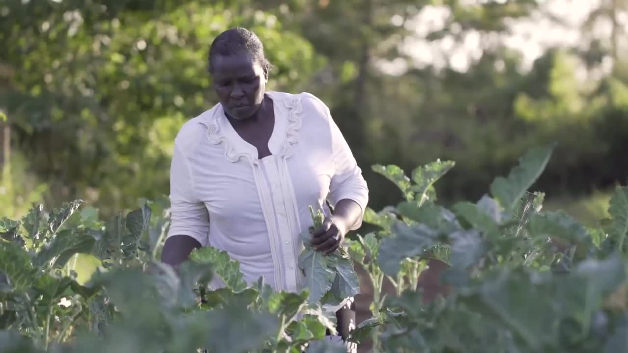 MasterCard 2Kuze, pagamenti mobile per l'Africa