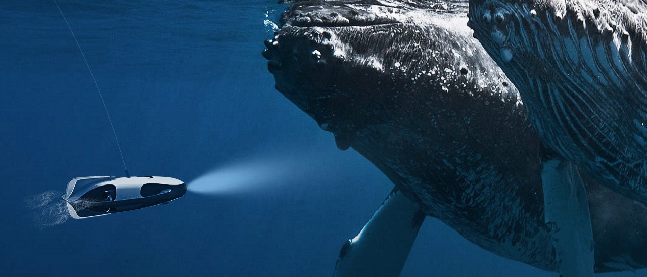 PowerRay: drone subacqueo con videocamera 4K