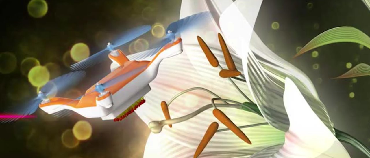 Droni impollinatori sostituiranno le api?