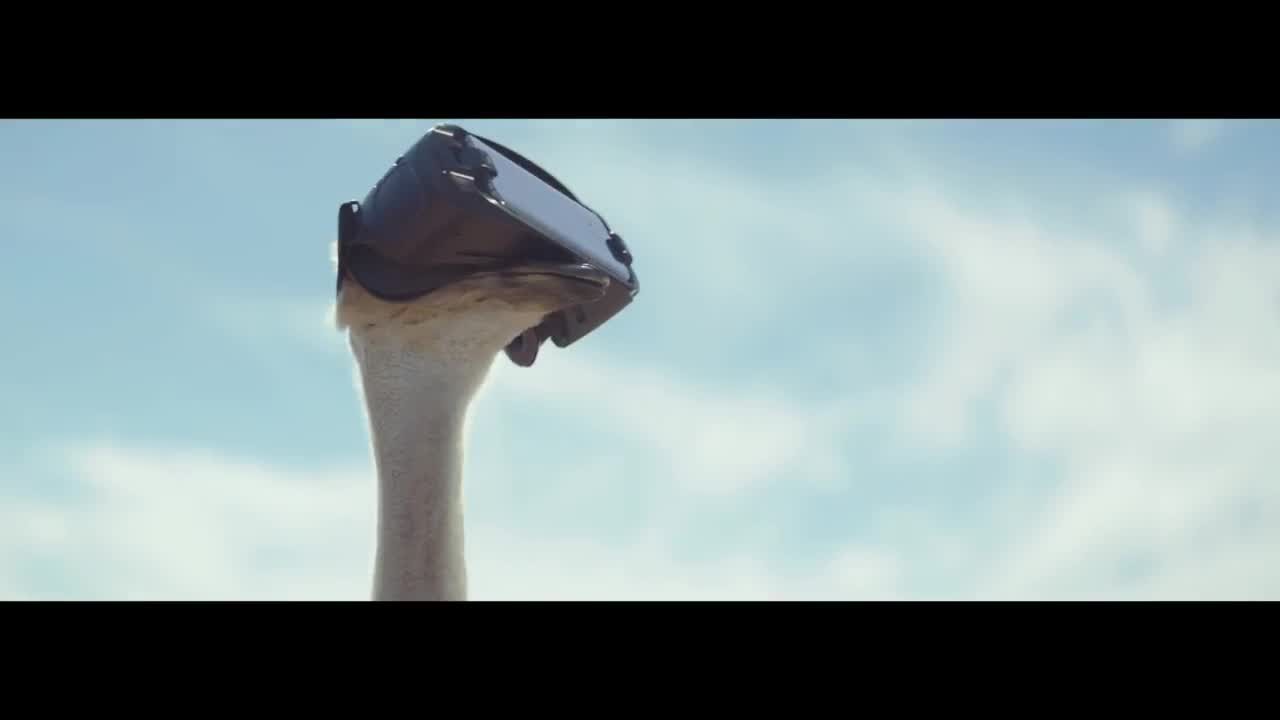 Samsung Galaxy S8, VR e struzzi volanti