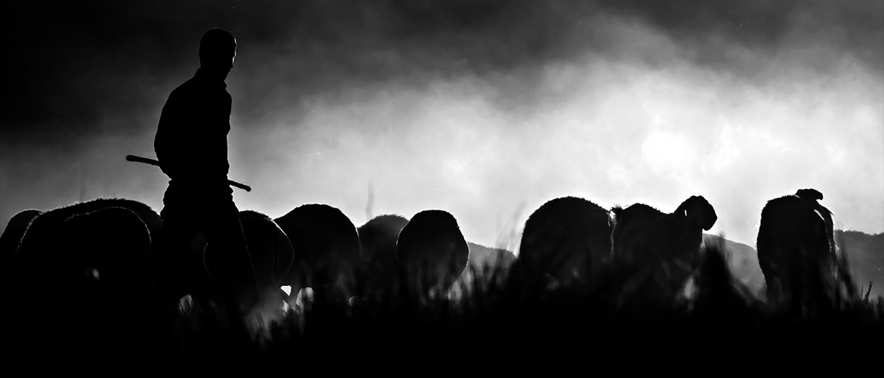 Facebook chiude Sesso, Droga e Pastorizia