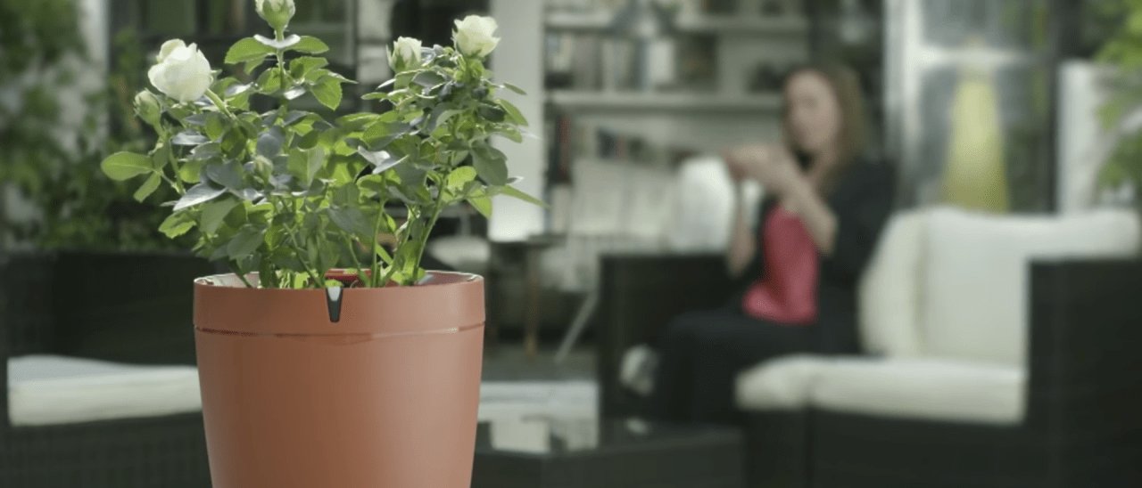 Parrot POT, le piante non rimangono a secco