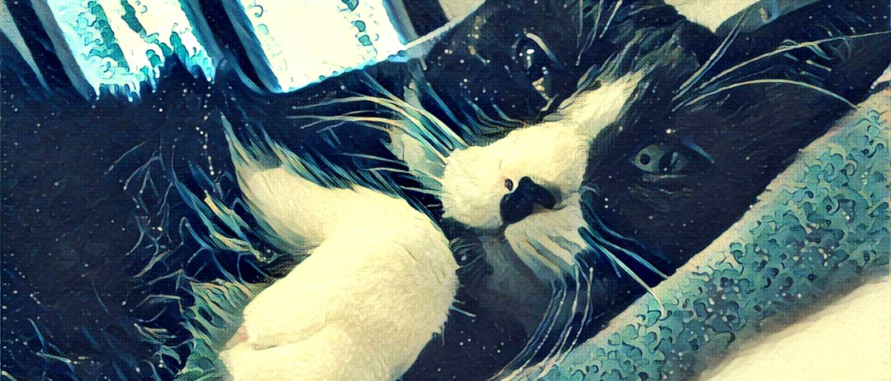 Prisma: arriva lo store per filtri ed effetti