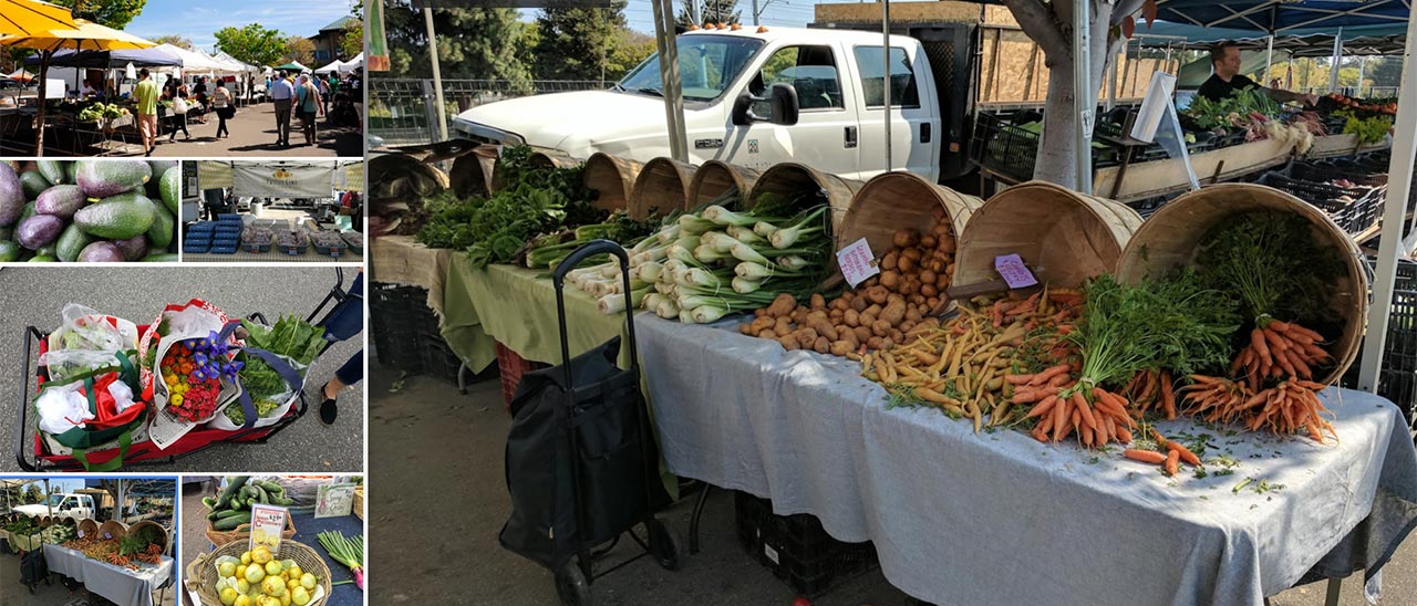 Google lancia il programma Street View ready
