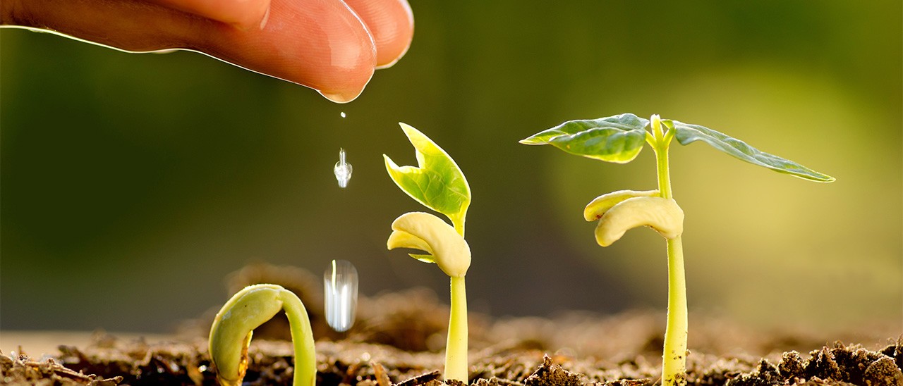 Monsanto: agricoltura e intelligenza artificiale