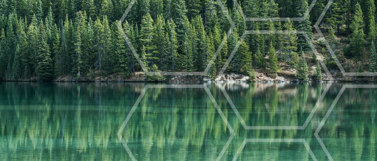 AI for Earth, intelligenza artificiale sostenibile