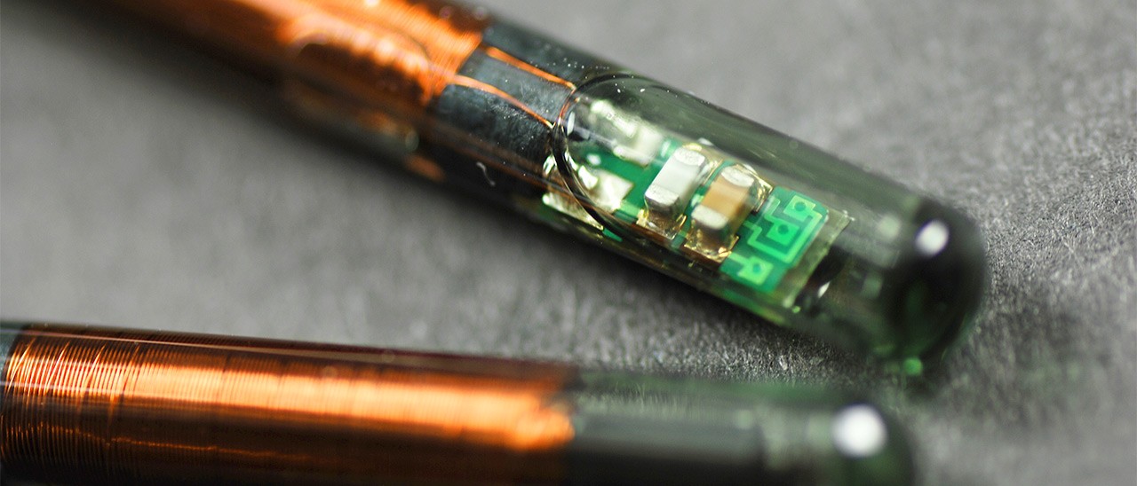 Chip NFC sottopelle per i dipendenti della TSM