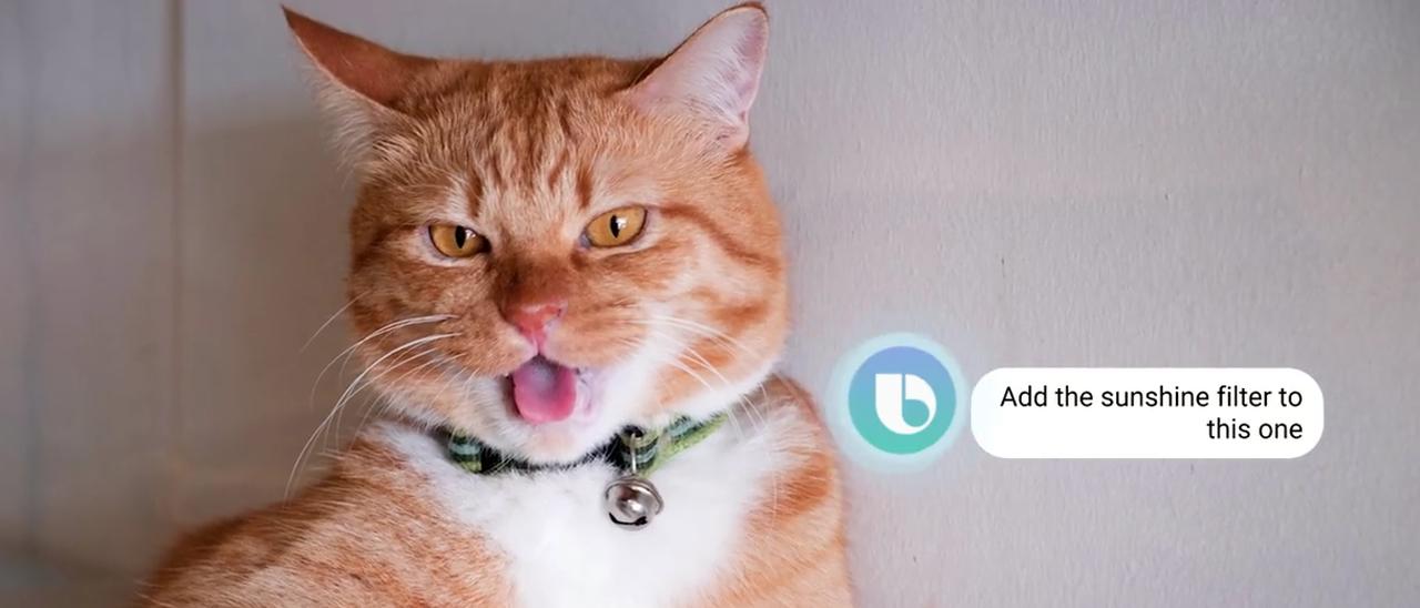 Bixby Voice disponibile per tutti, in inglese