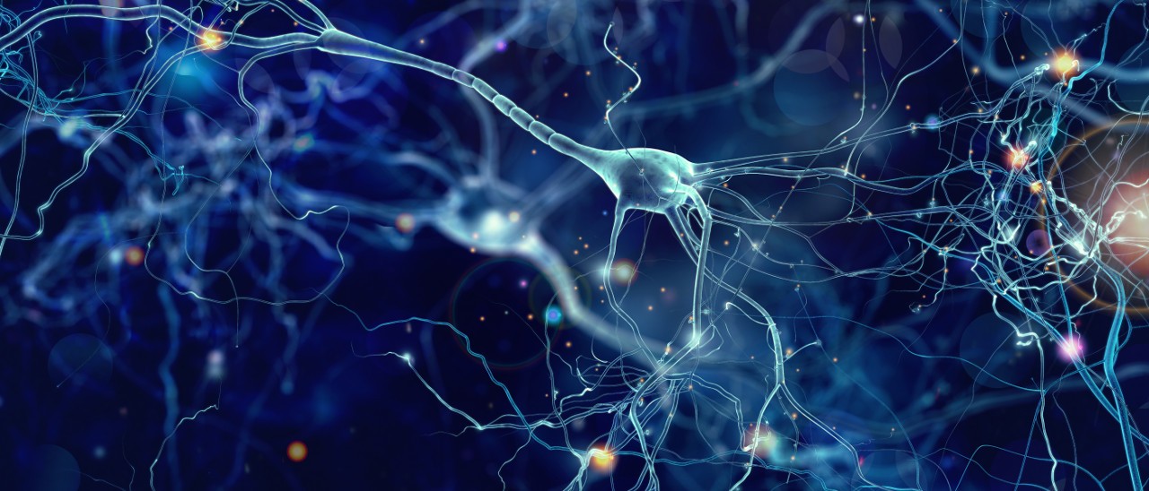 Facebook, traduzioni con le reti neurali