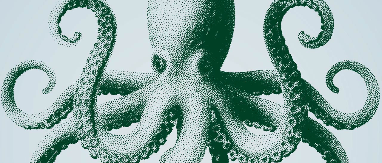 Android O: il nome con l'eclissi solare