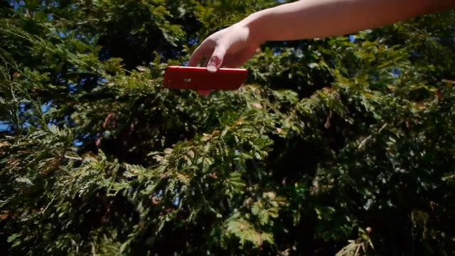 iPhone 8 - Drop Test