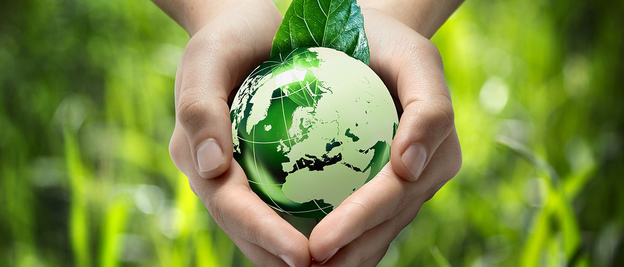 Greenpeace: Apple fra le aziende più verdi