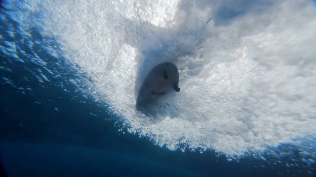 Apple Watch 3 - Surf