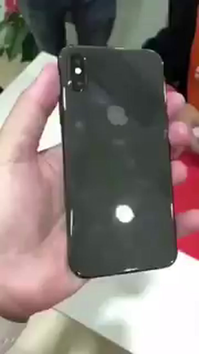 iPhone X - Componenti Interni
