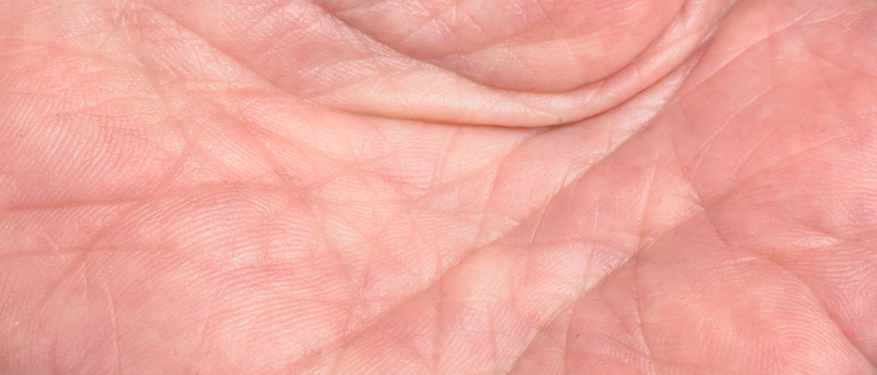 Scansione della mano per ricordare la password