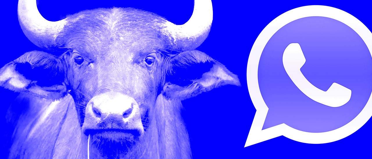 Yong Lin e WhatsApp a pagamento? No, fate girare