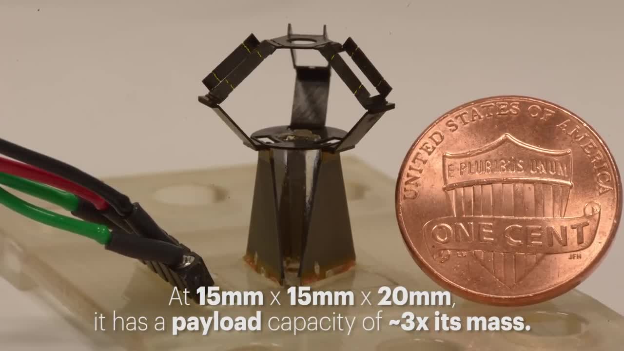 Il robot milliDelta del Wyss Institute